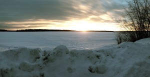 Under Siberian Skies Nature Photo